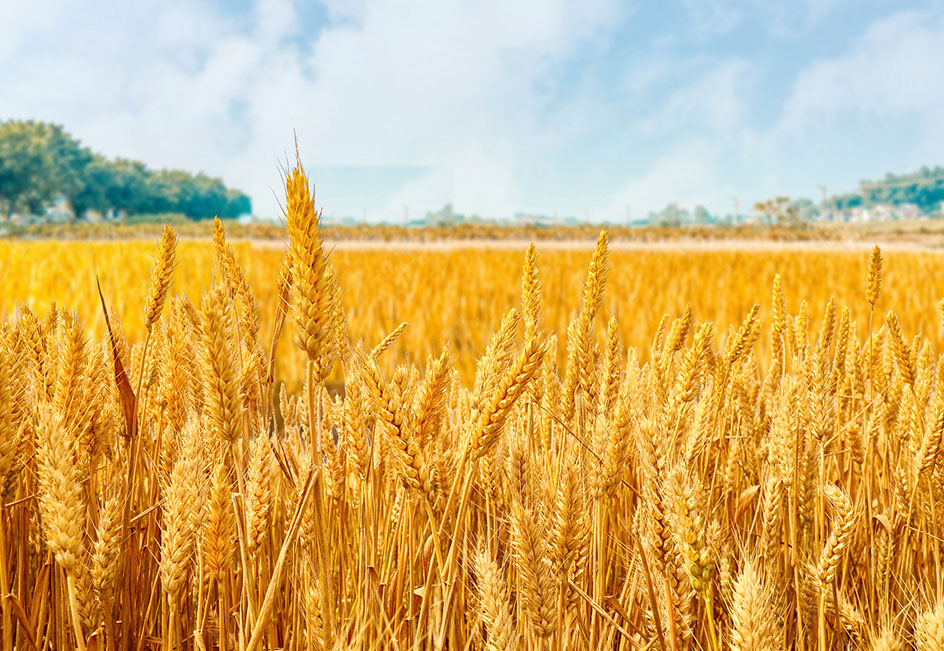 77���� �C ȫ����ȫ����̬�ȵ���������ֱ��ƽ̨