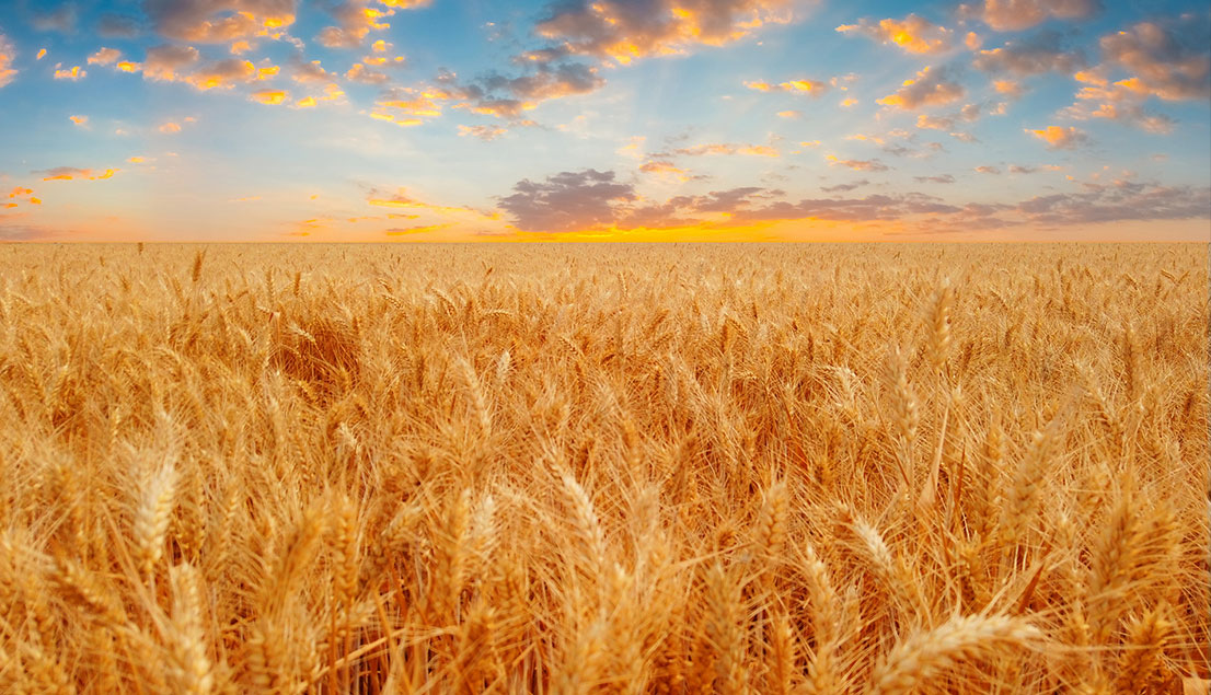 77���� �C ȫ����ȫ����̬�ȵ���������ֱ��ƽ̨