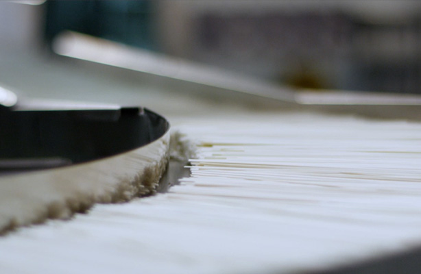 ����Ϊʲô��������