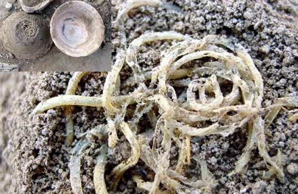 �й���������Դ������