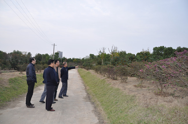 k1体育 - 十年品牌 值得信任