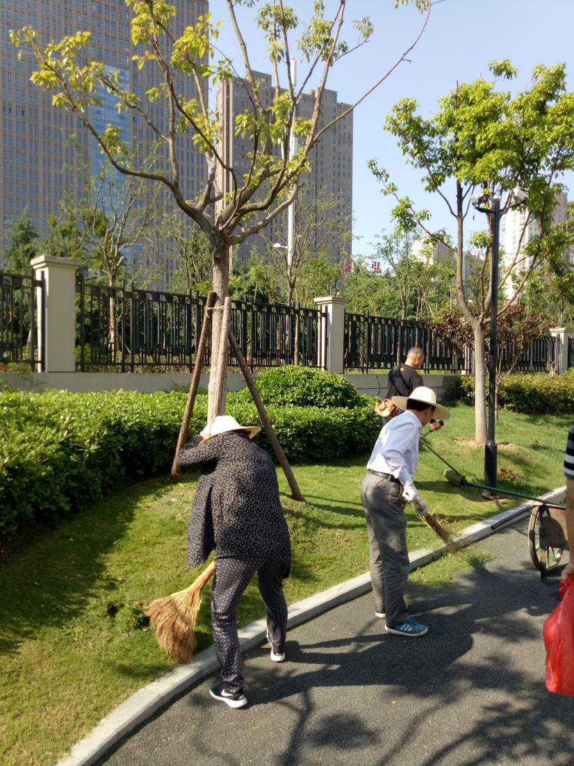 k1���� - ʮ��Ʒ�� ֵ������