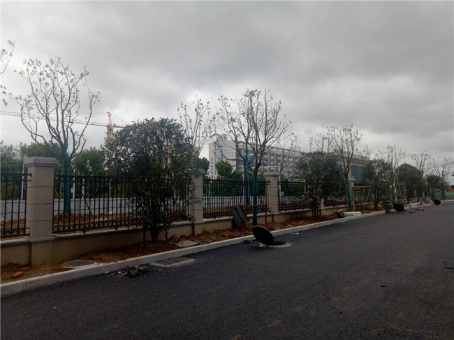 k1体育 - 十年品牌 值得信任