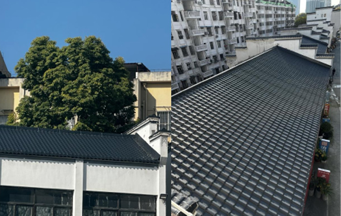 k1体育 - 十年品牌 值得信任